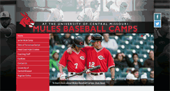 Desktop Screenshot of mulesbaseball.com